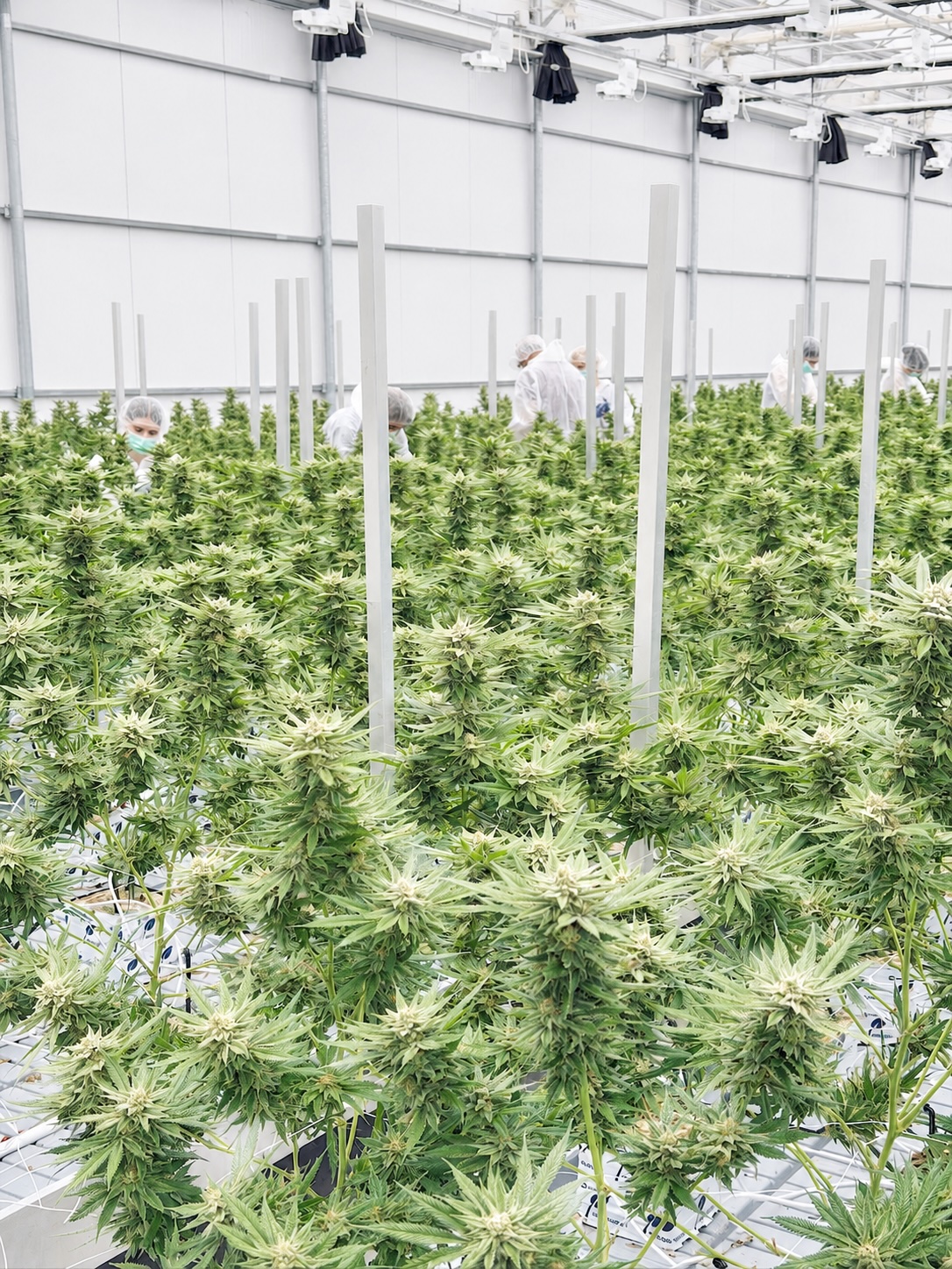 CURITY Pharma facility